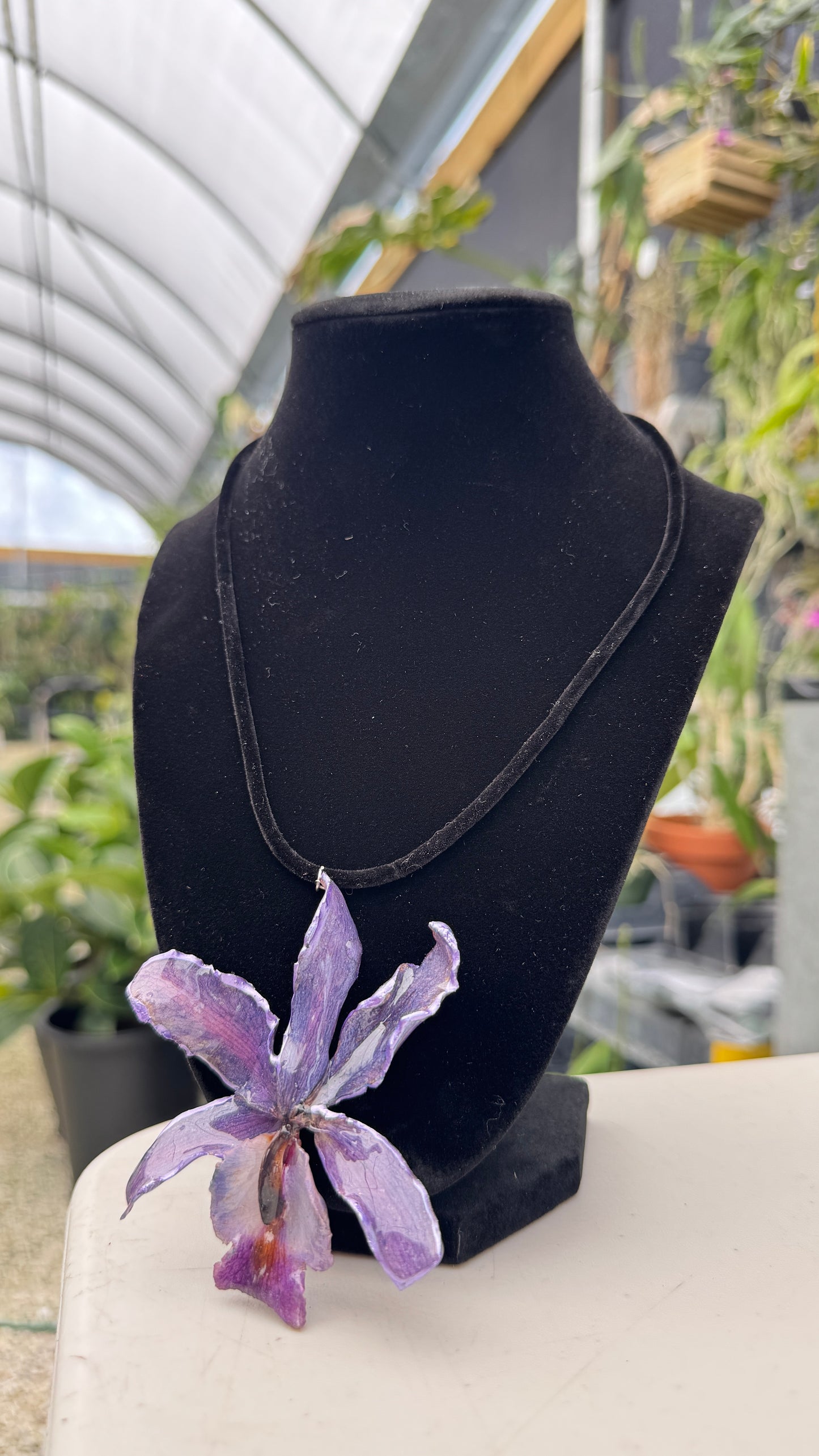 🌺Real Orchid / Purple Necklace (black velvet cord)