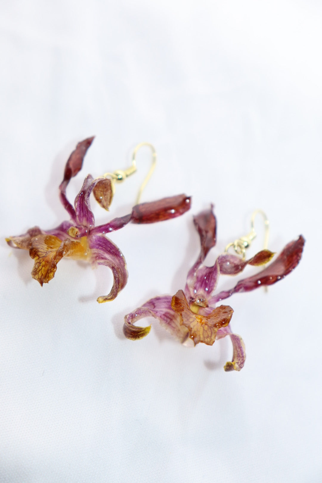 🔥 Dendrobium “Goddess of Fire” Orchid Earrings – Gold Plated Hooks
