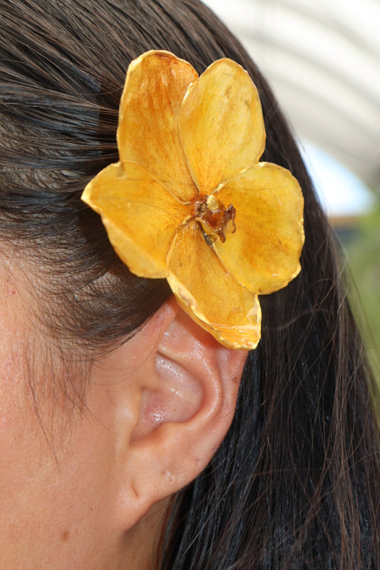 🌸Hawaii / hair clip