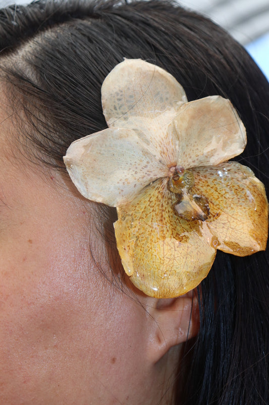 🌸 dream / hair clip
