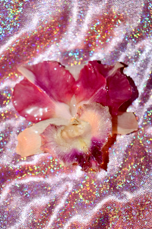 🌸dragon:hair clip