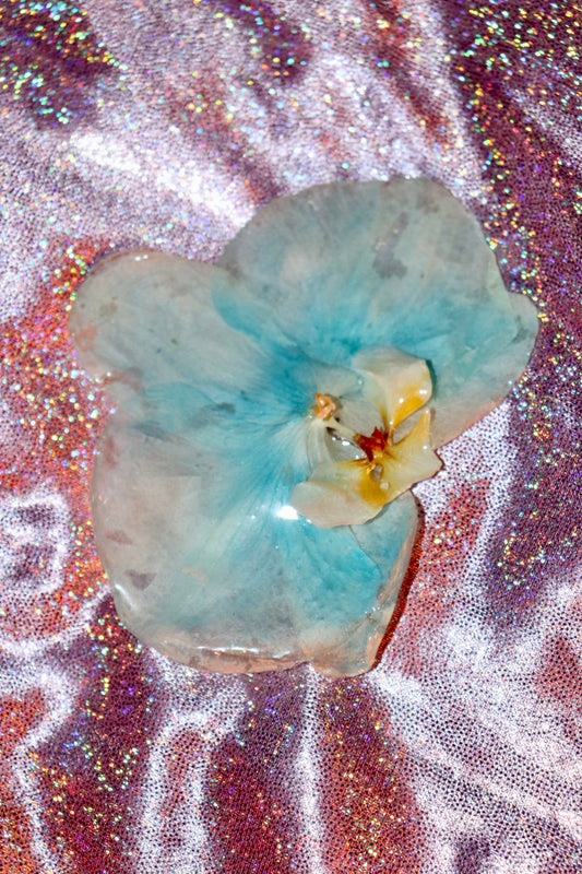 🌸Marine / hair clip
