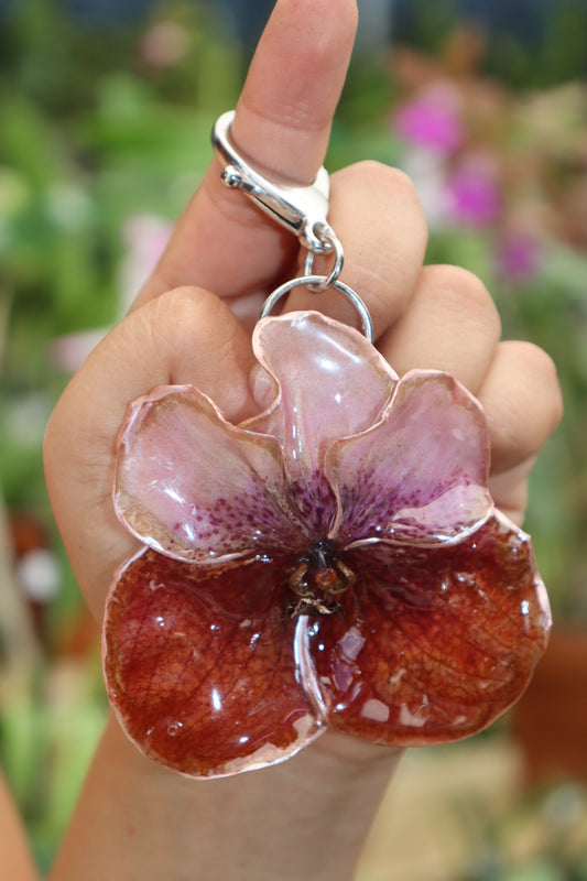 💕 Vanda / key chain