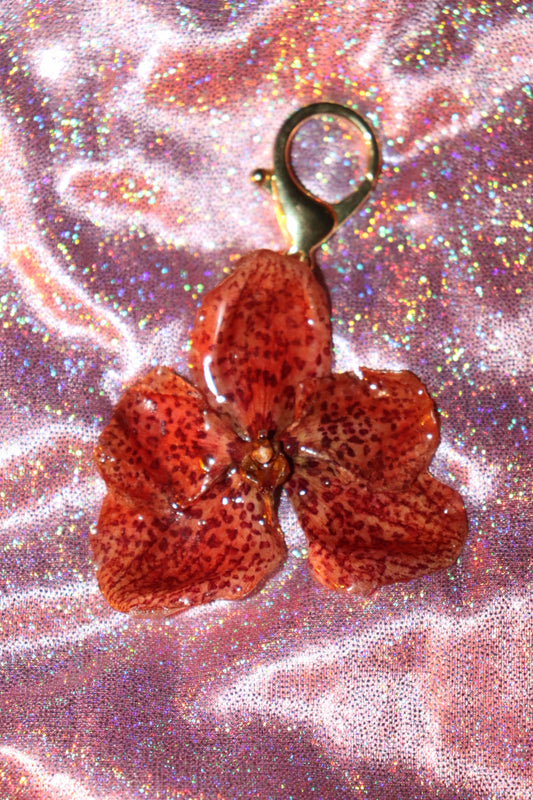 🌺cheetah/key chain