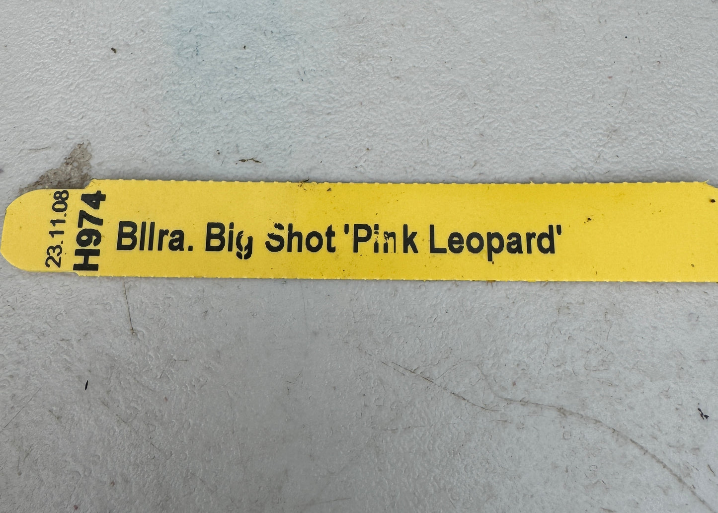 Bllra. Big Shot Pink Leopard