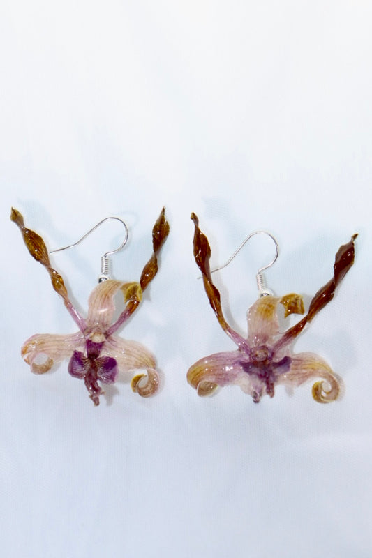 🌸 Dendrobium Happy Family Earrings – Silver Plated Hooks
