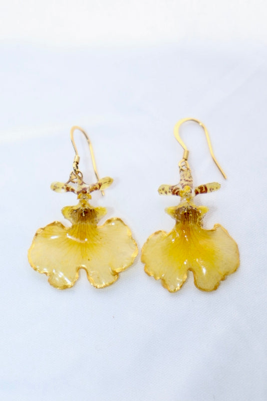 💛 Oncidium "Dancing Lady" Yellow Orchid Earring – Gold Plated Hook