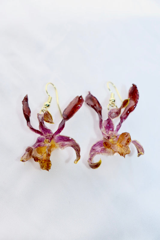 🔥 Dendrobium “Goddess of Fire” Orchid Earrings – Gold Plated Hooks