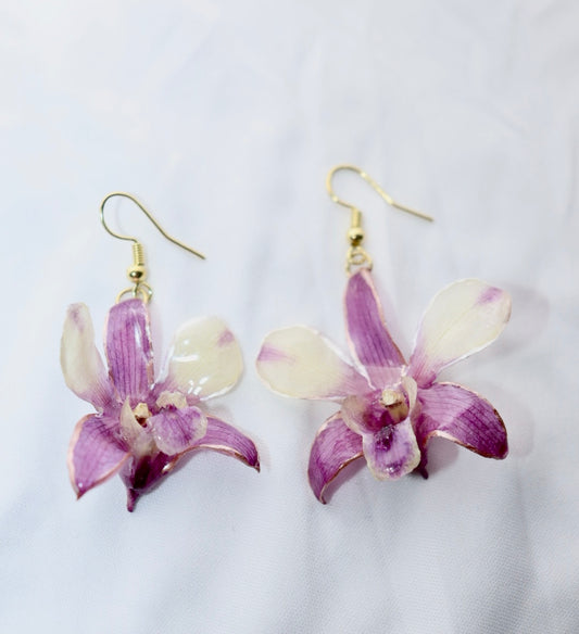 💜 Dendrobium “Shave Panda” Orchid Earrings – Gold Plated Hooks