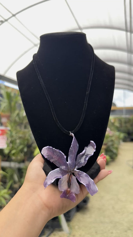 🌺Real Orchid / Purple Necklace (black velvet cord)